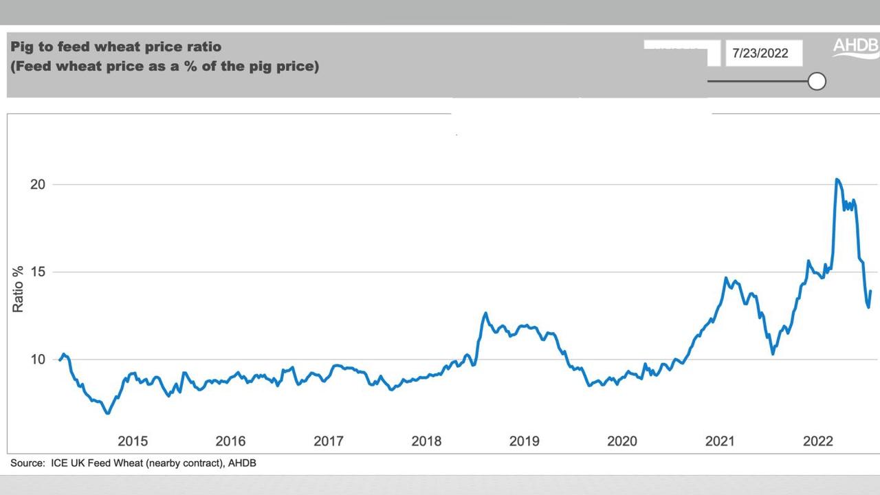 Pig to feed wheat price ratio. Picture: Supplied.