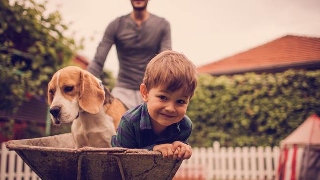 Dennis Scott on when you bring a newborn or fur baby home.