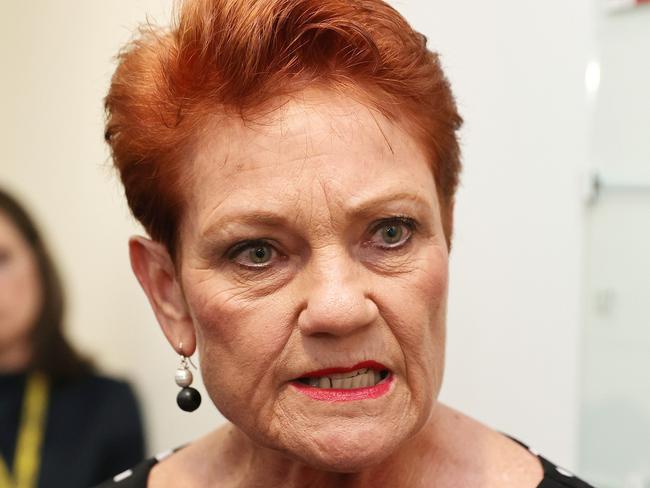 CANBERRA, AUSTRALIA NewsWire Photos MARCH 16 2021: Senator Pauline Hanson during a press conference in Parliament House Canberra. Picture: NCA NewsWire / Gary Ramage