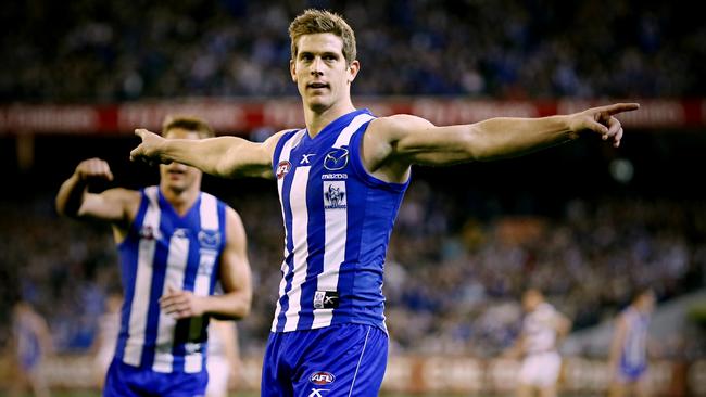 AFL second semi-final: Geelong v. North Melbourne Goal Nick Dal Santo Picture:Wayne Ludbey