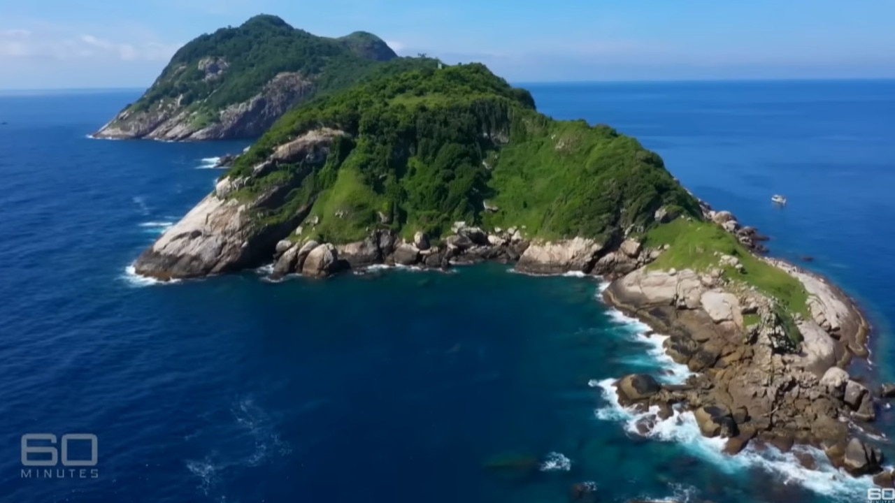 This tiny pocket of land is considered the most dangerous acreage on the planet because of the golden lancehead viper species.