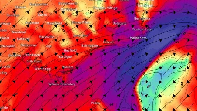 Wind gusts of up to 100km/h are expected in parts of Victoria and NSW. Picture: Weatherzone