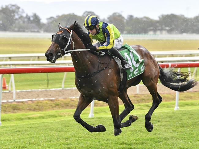 Kind Words is a leading Queensland Oaks contender for trainer Kris Lees. Picture: Bradley Photographers