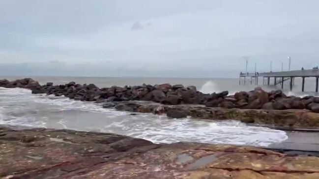 Crocodile spotted at Darwin's popular Nightcliff Jetty