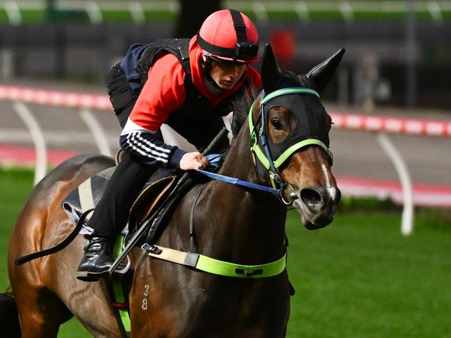 MELBOURNE, AUSTRALIA - SEPTEMBER 25: Mitchell Aitken riding Asfoora during track gallops at Moonee Valley Racecourse on September 25, 2023 in Melbourne, Australia. (Photo by Vince Caligiuri/Getty Images)