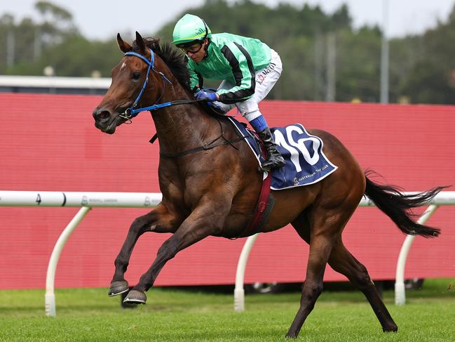 SYDNEY, AUSTRALIA - JANUARY 18: Kerrin McEvoy riding Shohisha  win Race 4 Midway during Sydney Racing at Rosehill Gardens Racecourse on January 18, 2025 in Sydney, Australia. (Photo by Jeremy Ng/Getty Images)