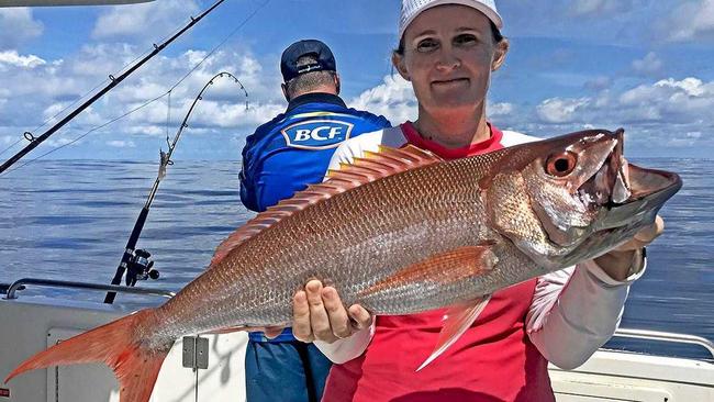 WHOPPER: Tammy Bond with a nice job fish, boated on a Trekka 2 charter to Double Island Point. Picture: www.fishingnoosa.com.au