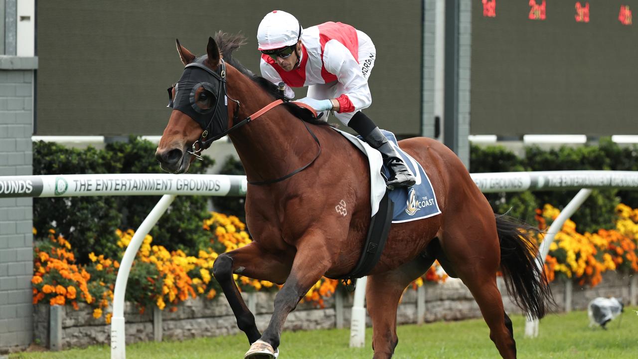 Scone Cup favourite in danger of missing a start