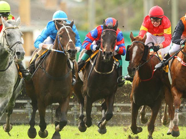 Black And Bent (blue) runs down Desert Master (grey) on his way to winning the Galleywood Hurdle.