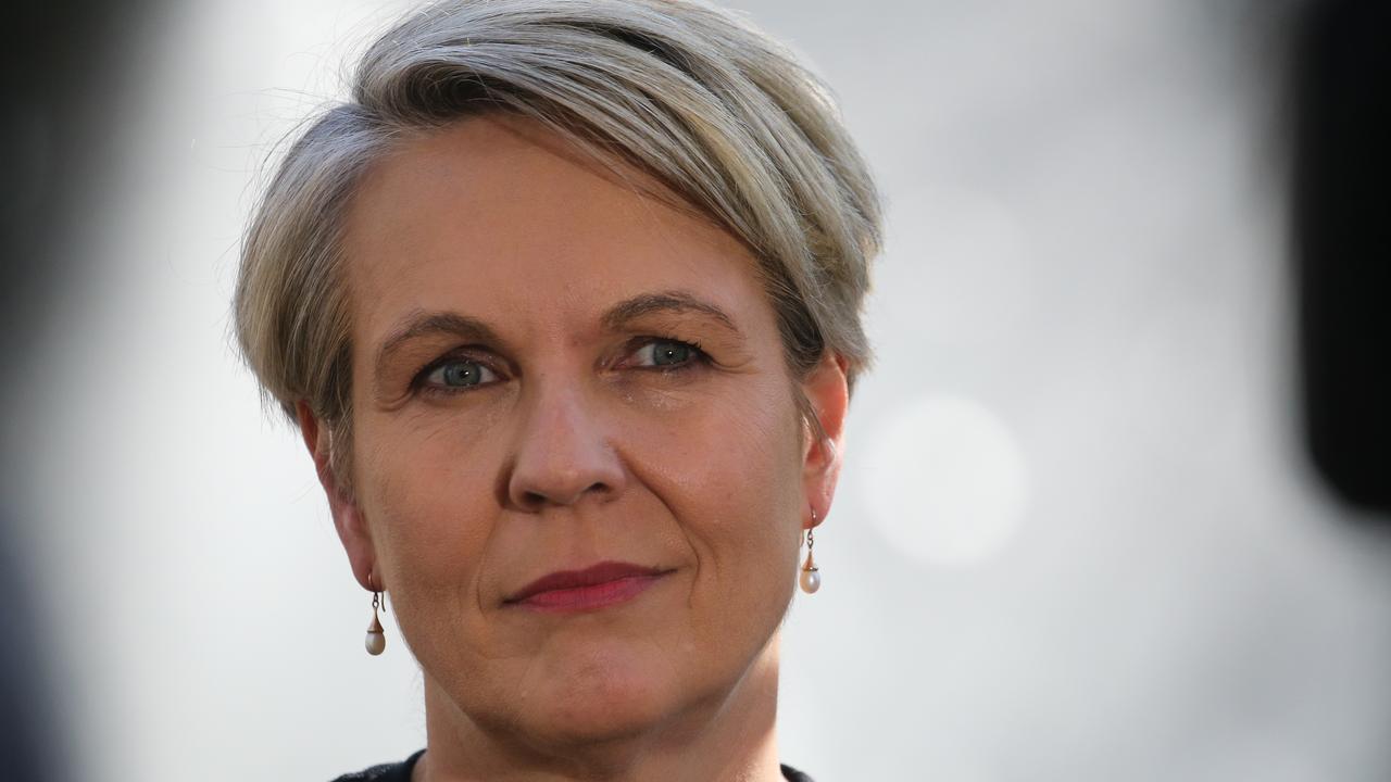 Tanya Plibersek said her daughter’s actions were “incredibly courageous”. Picture: NCA Newswire/ Gaye Gerard