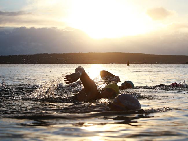 The Swimming Idiots enjoy the calm, early morning waters.