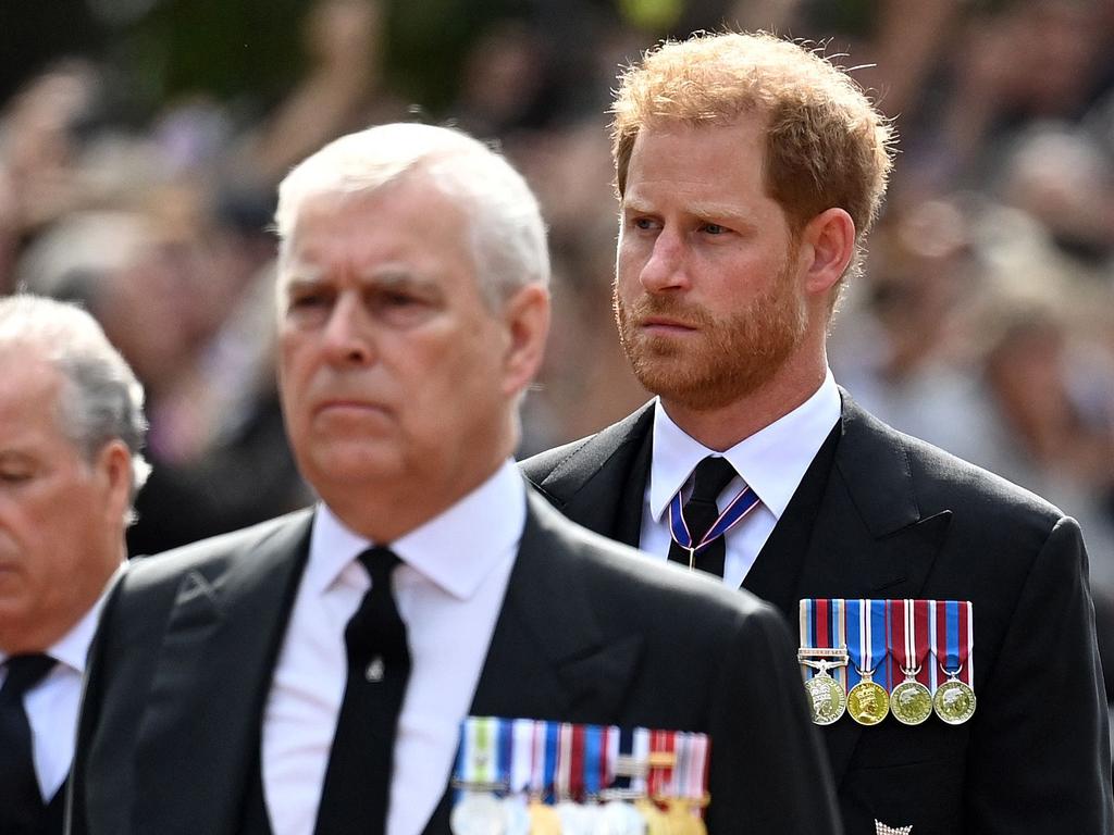 Prince Andrew and Prince Harry are both out of favour with the royals for very different reasons. Picture: Kate Green/AFP