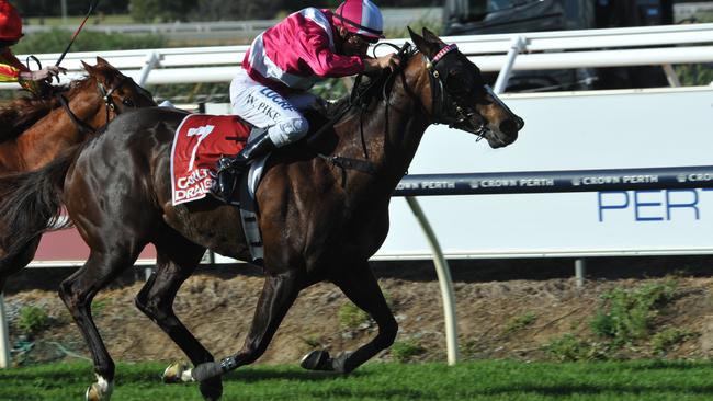 Elite Belle (7) ridden by William Pike, takes out the Carlton Draught-Railway Stakes.