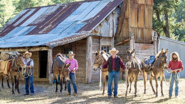 Rodney Sansom, Anita Bransden, Noel Wiltshire with his mules Willie and Kristen and Jarrod Lycett with Noel's other mule named Molly.