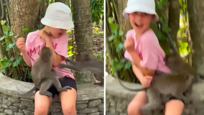 Eva got a massive shock when the monkey bit into her. Source: Yahoo News