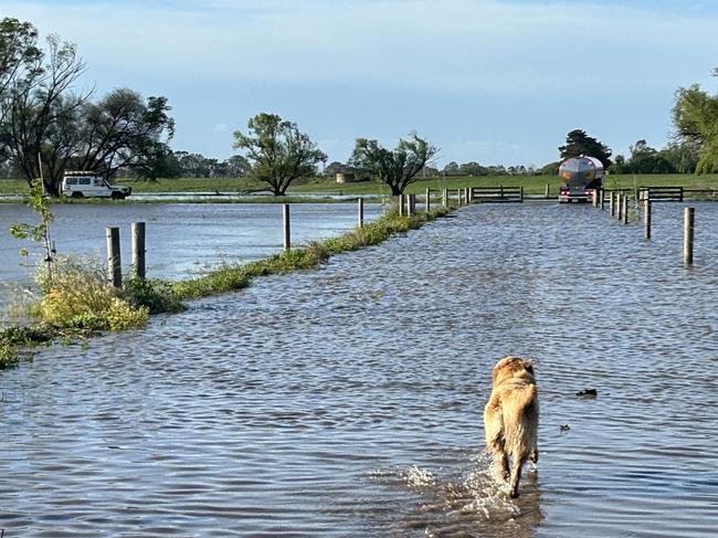 gippsland farm the weekly times