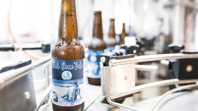 Bottling at Ocean View Brewing Company. Photo: Dominika Lis.