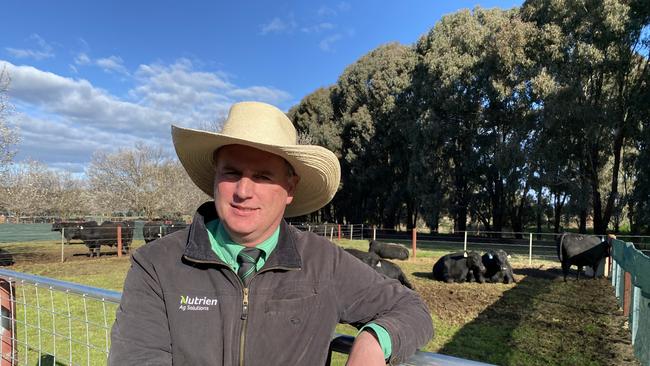 Peter Godbolt, Nutrien Ag Solutions, Albury, was one of the auctioneers selling at the Rennylea Angus sale at Culcairn, NSW, where 212 bulls grossed more than $4.7 million.