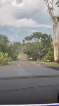 Watch: the damage caused to Tamborine after Christmas Day storms