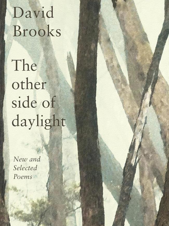 The Other Side of Daylight: New &amp; Selected Poems By David Brooks 