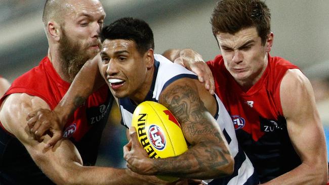 Tim Kelly will play a key role in the Cats’ final against Melbourne.