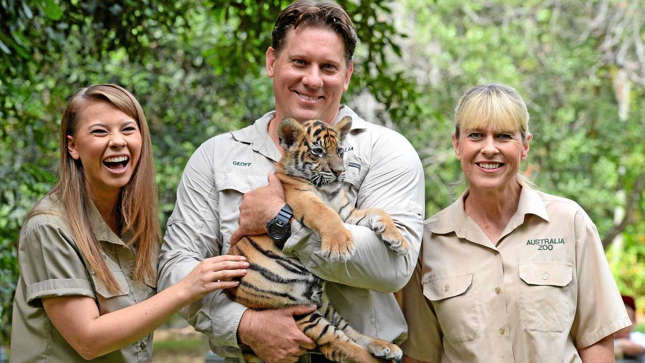 Meet Australia Zoo's purrfect new tiger cubs | The Courier Mail