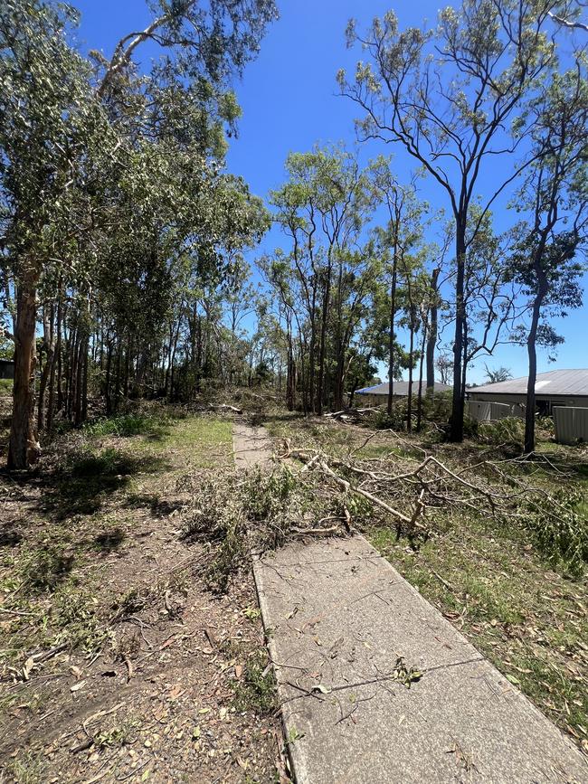 Fallen trees and branches block a pathway in Helensvale. Picture: Keith Woods.