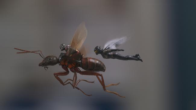 Ant-man and the wasp.