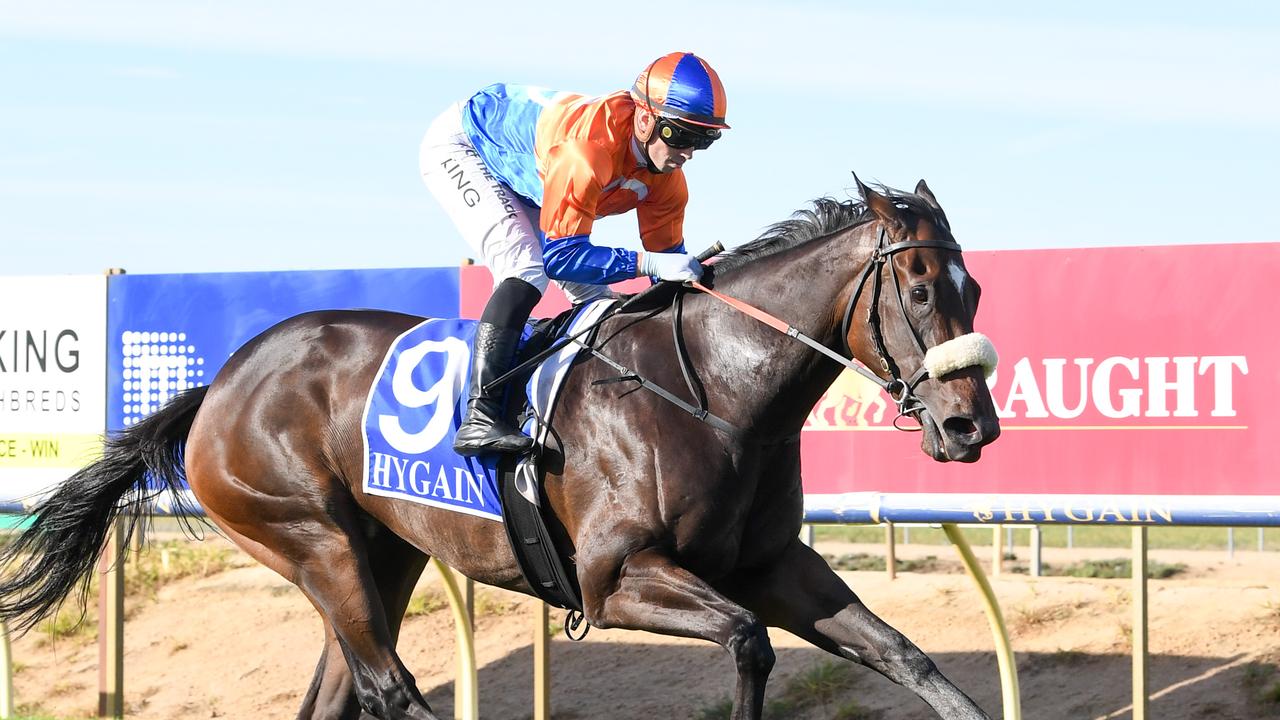 Streak that started in Towong goes on line in city debut