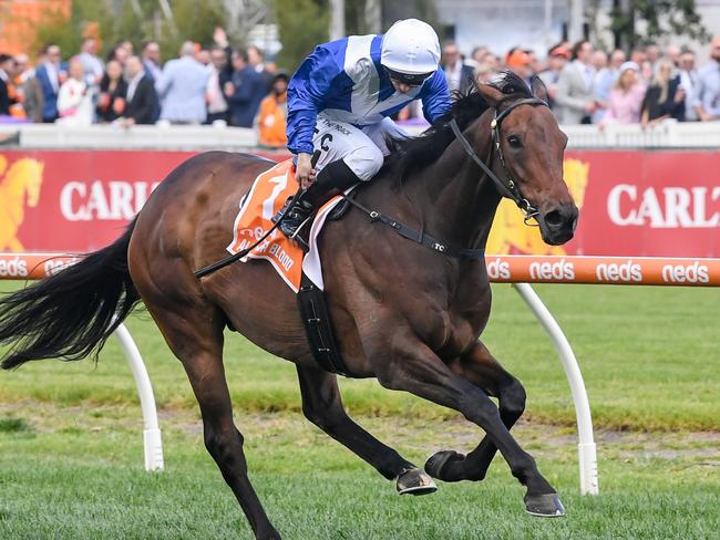 Alligator Blood ridden by Tim Clark wins the Neds Might And Power at Caulfield Racecourse on October 14, 2023 in Caulfield, Australia. (Photo by Reg Ryan/Racing Photos via Getty Images)