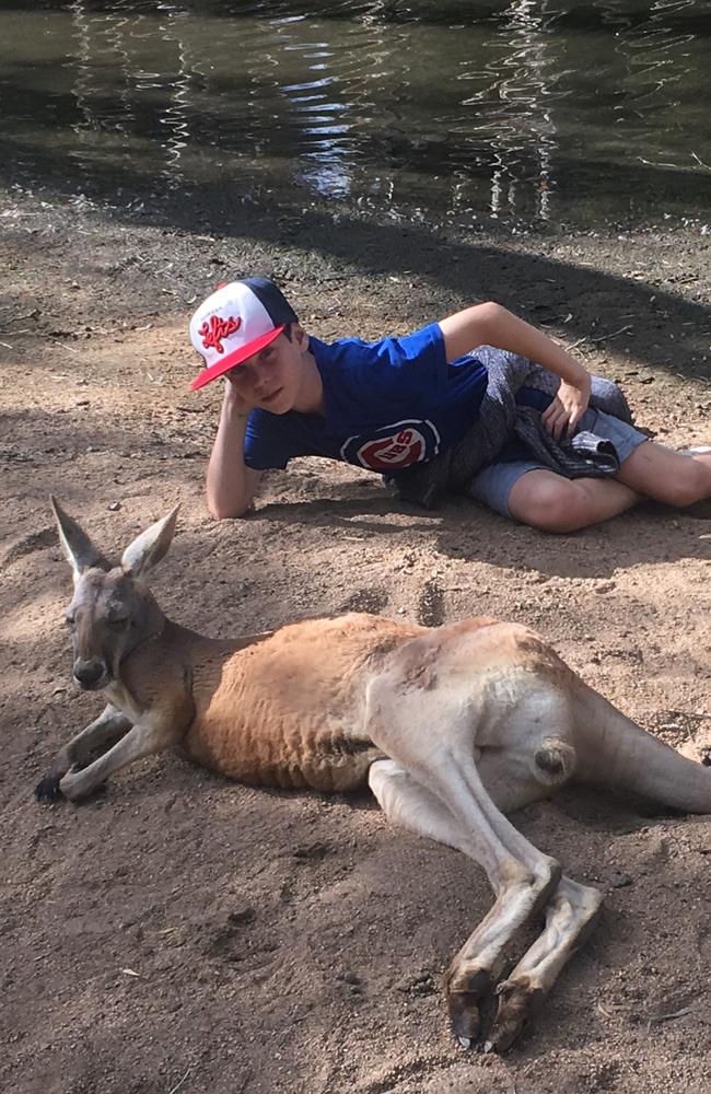 Cooper with a kangaroo at Currumbin Wildlife Sanctuary.