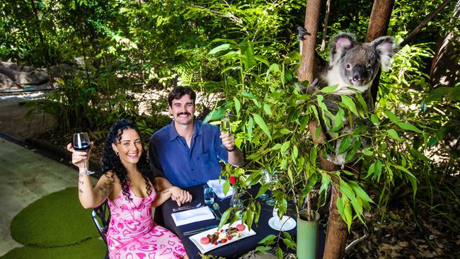 Kaycee-Jai Heard and Lindsay Davies gear up for Valentine’s Day with CJ the Koala Valentine's Day at Currumbin Wildlife Sanctuary. Picture: Nigel Hallett