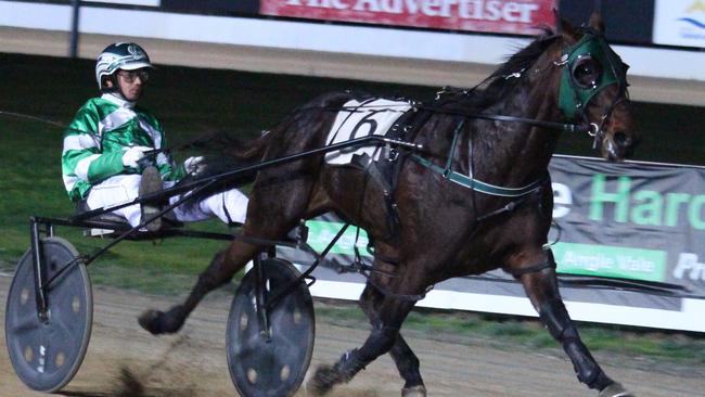 Globe Derby Park has been South Australia’s premier harness racing venue since the early 1970s. Picture: Graham Fischer