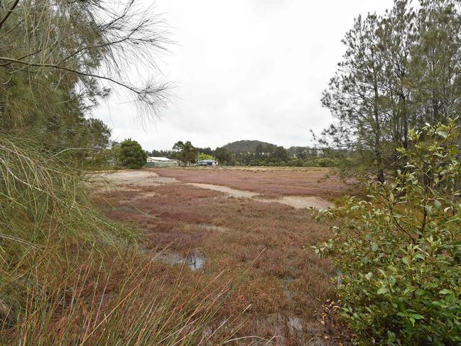 Central Coast Council could miss the chance to buy Davistown wetlands. Picture: AAP / Troy Snook)