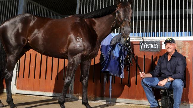 Tony Gollan is keen to travel Antino to Hong Kong in December. Picture: Steve Pohlner