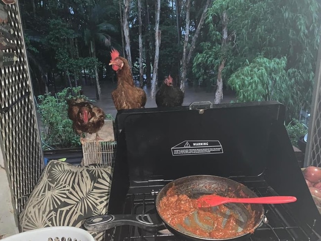 Their chooks watching her cook with floodwaters in the background. Picture supplied by Sandra Goeldner