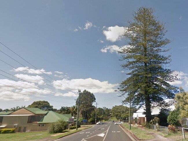 GOODBYE: The popular Norfolk Island Pine in Alstonville is set to be removed due to concerns regarding safety and the Essential Energy power network.