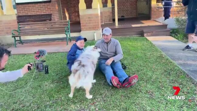 Bowie's emotional reunion with owners (7 News)