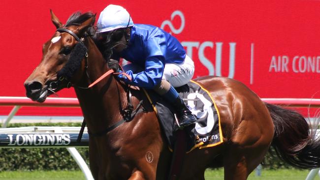 Bacchanalia can end the day on a high note at Randwick. Picture: Grant Guy