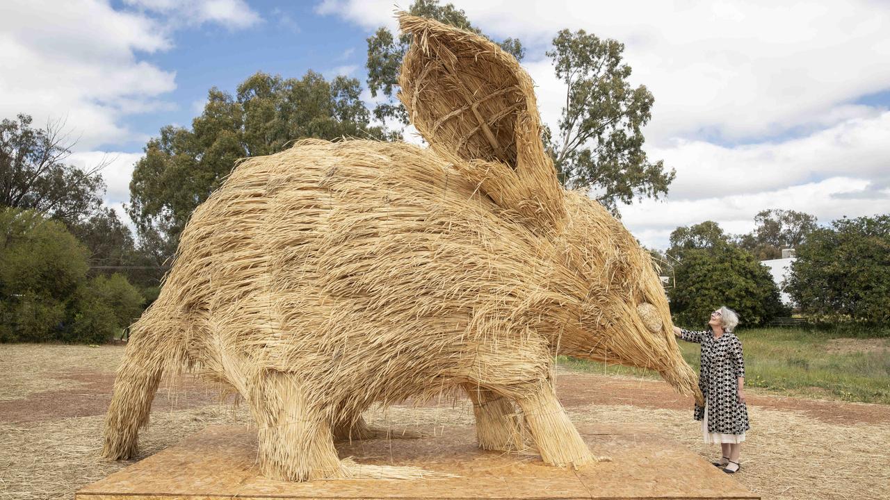 Giant Straw Dinosaurs Invade Japanese Fields After Rice Harvest