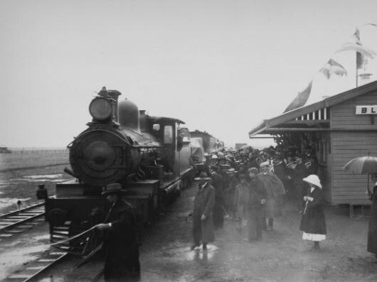 A fascinating history of railways by Dr Andre Brett.