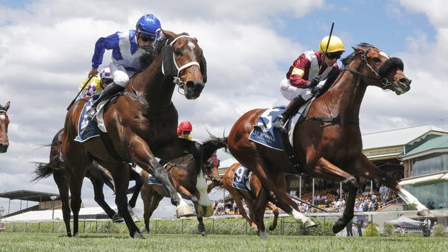 French import Huetor is looking to make it two from two in Australia. Picture: Getty Images