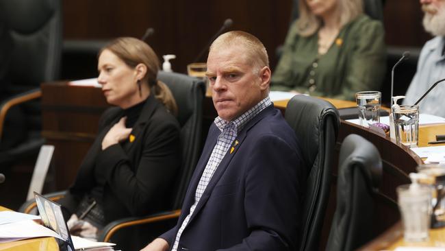 Vica Bayley Greens deputy leader. Parliament question time. Picture: Nikki Davis-Jones