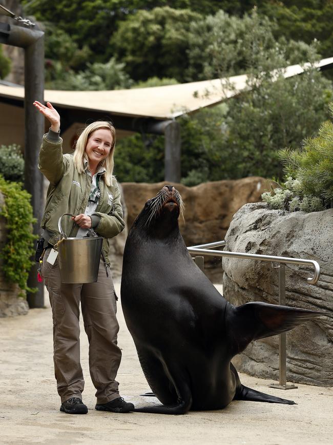 Taronga Zoo will reopen on June 1. Picture: Sam Ruttyn