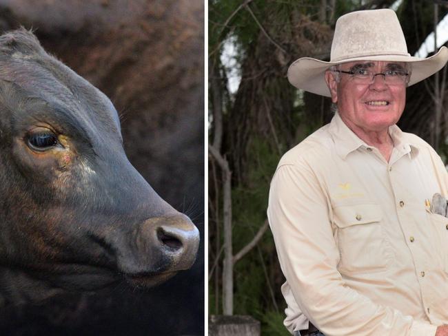 ‘It makes you sick’: Lab grown meat riles Qld wagyu farming greats