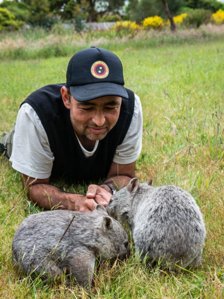 Andry Sculthorpe with Bass Strait Island Wombat joeys Louis and Grant. Image: WWF