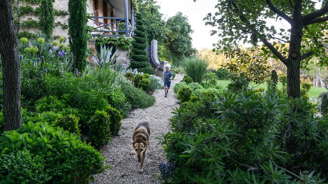 It’s a great natural playground for children and pets. Picture: Brenton Edwards