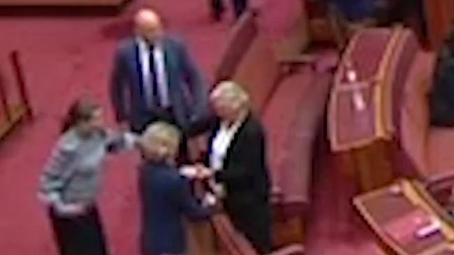 Perin Davey and Michaelia Cash help guide Sam McMahon out of the chamber. Credit: The Age