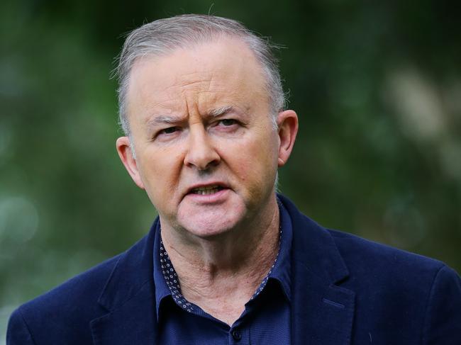 Opposition Leader Anthony Albanese.