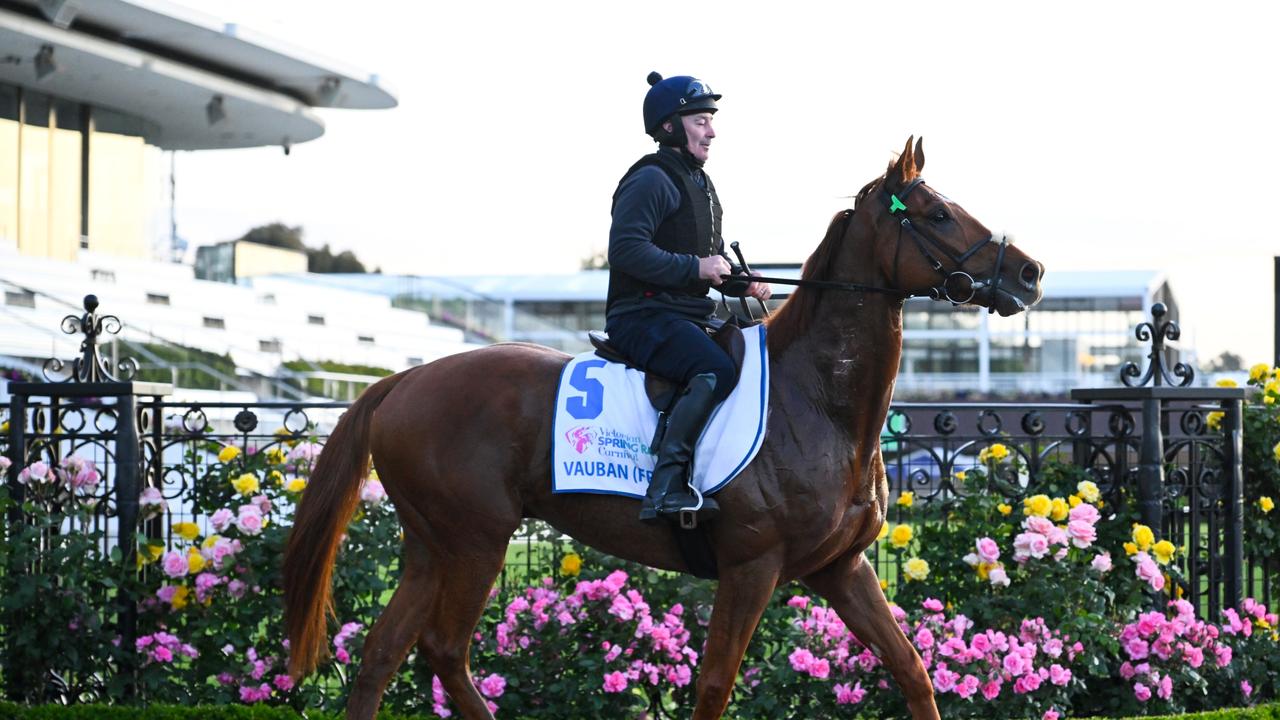 MELBOURNE, AUSTRALIA - OCTOBER 31: Lexus Melbourne Cup favourite, Vauban ridden by David Casey is seen during Derby Day Breakfast With The Best gallops at Flemington Racecourse on October 31, 2023 in Melbourne, Australia. (Photo by Vince Caligiuri/Getty Images)